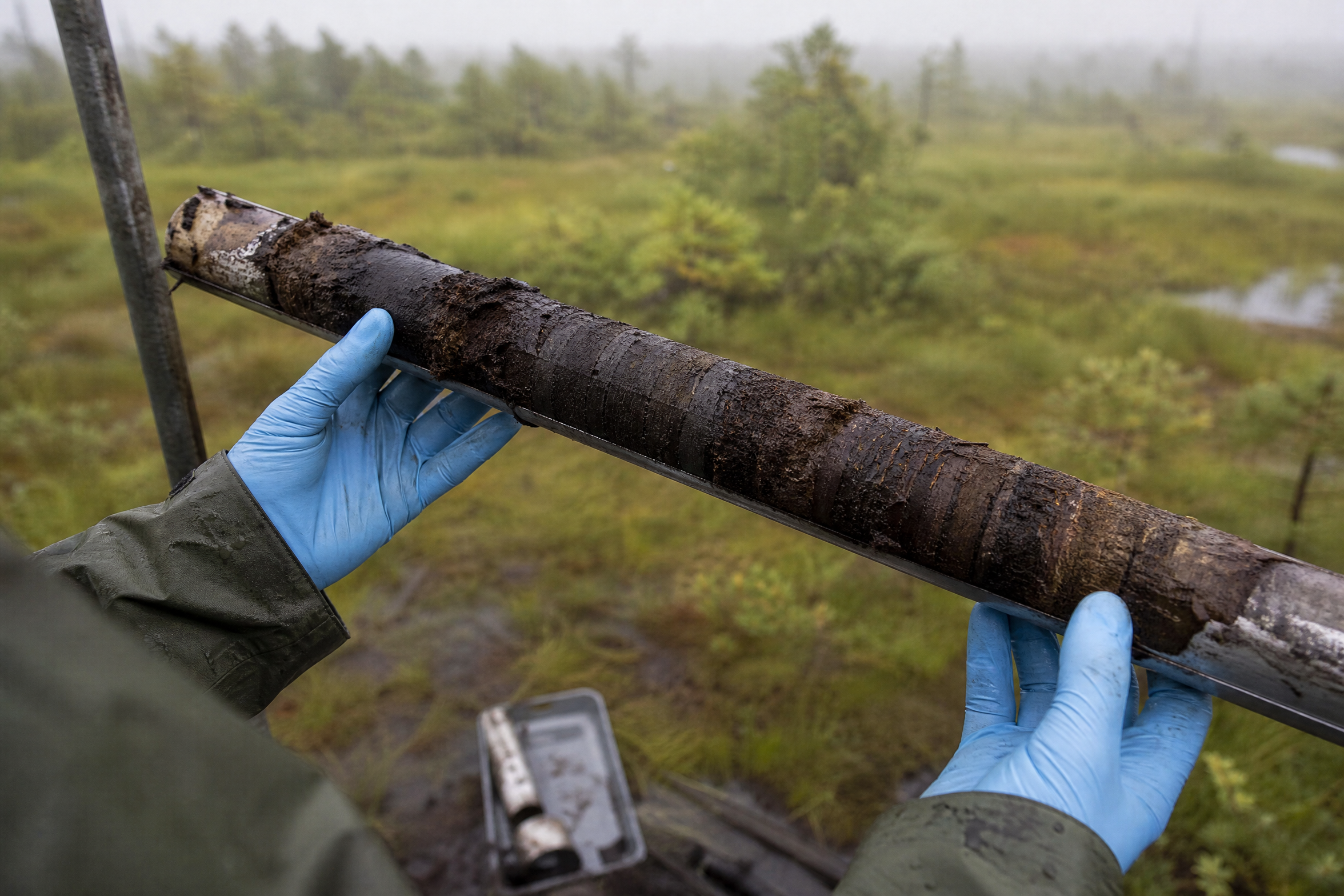 Overhead documentary photograph of a paleobotanist's gloved hands extracting a long cylindrical peat core from a Šumava bog, dark stratified layers of ancient sediment clearly visible along the sample, mossy wetland and dwarf pines blurred 