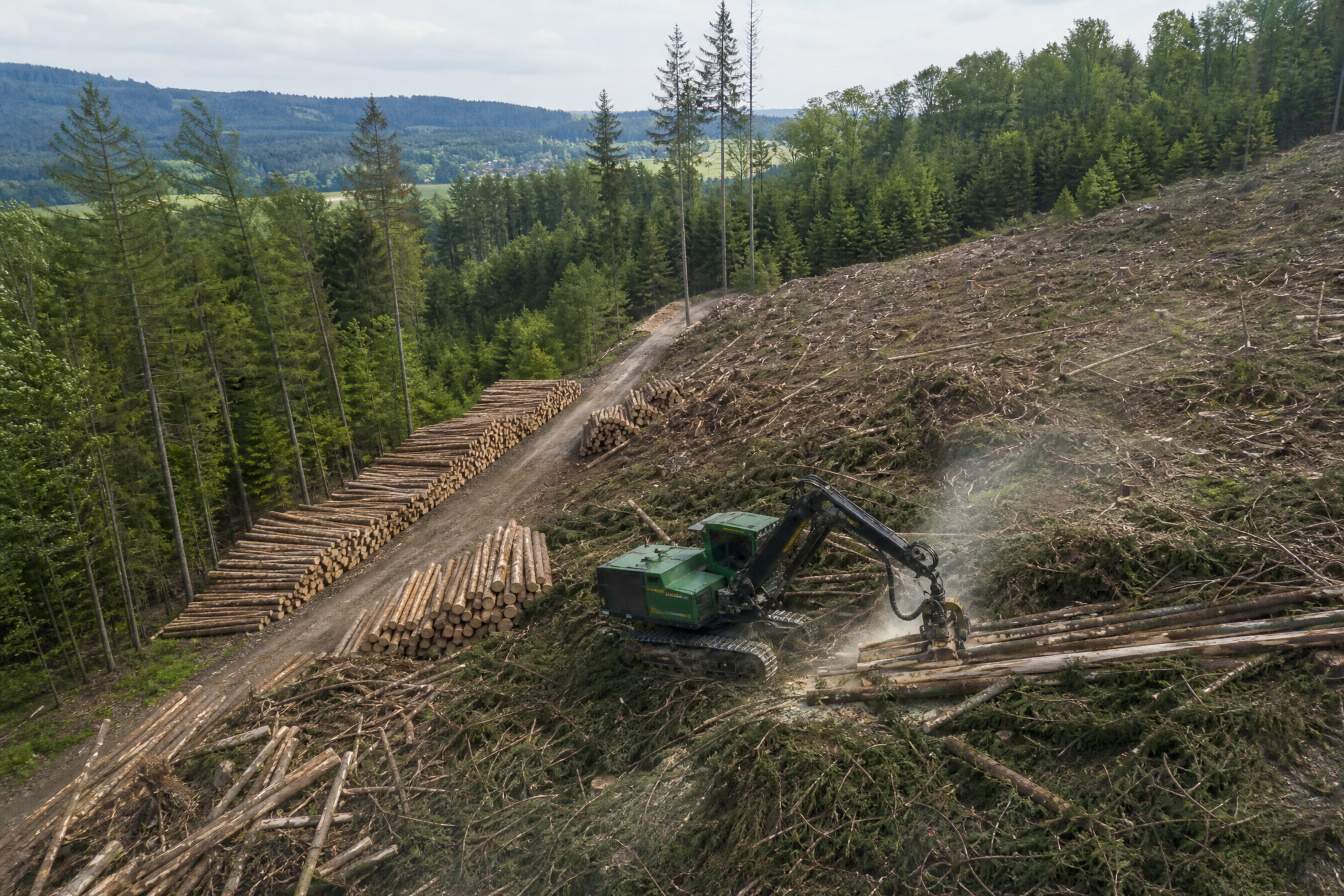 Harvestor při kůrovcové těžbě prořezává souše na pasece u Hlinska na Vysočině, kmeny smrků složené v rovnaných hráních podél lesní cesty.